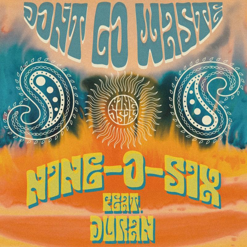 Don't Go Waste feat. DURAN
